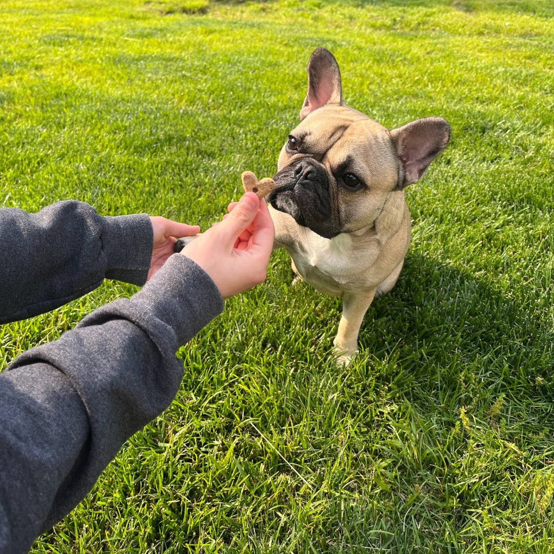 Dog Treats | by oz.