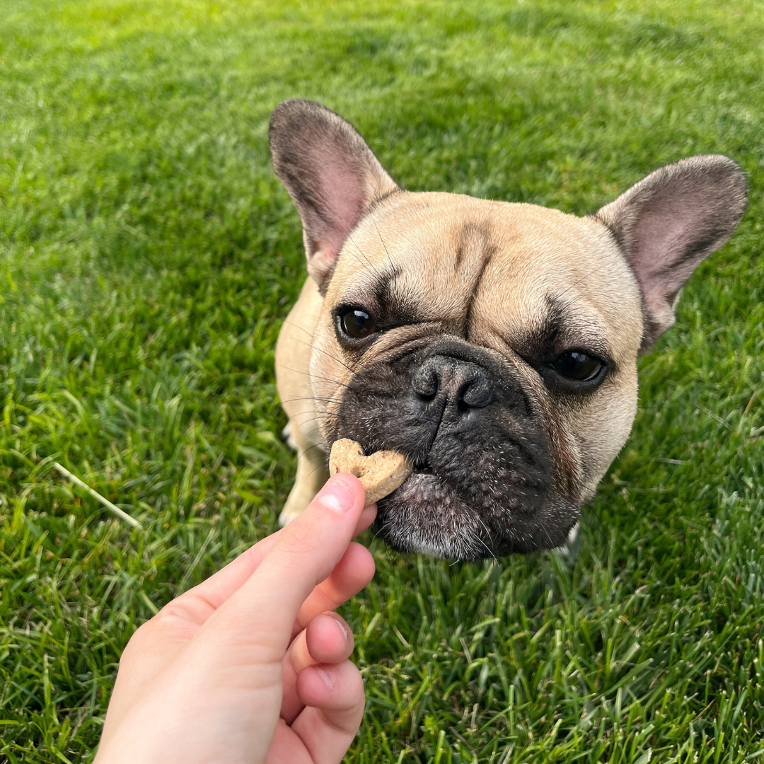 Dog Treats | by oz.