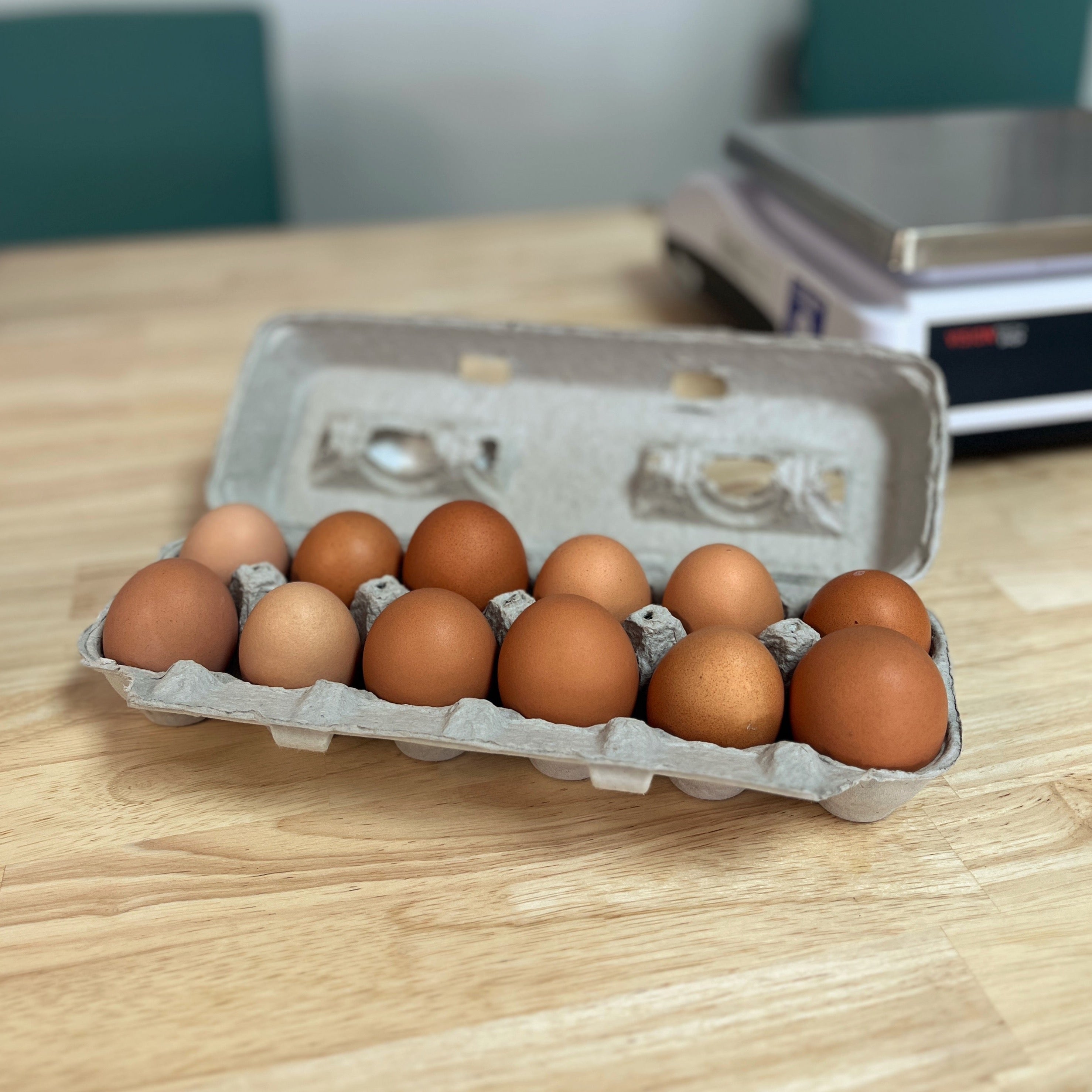Local Chicken Eggs | Dozen